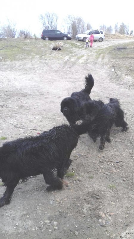 Фотография № 207015