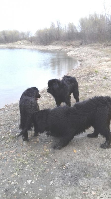 Фотография № 207016