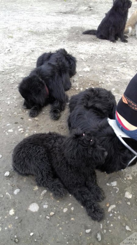 Фотография № 207018