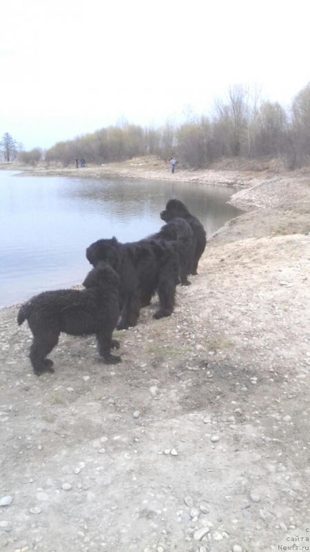 Фотография № 207019