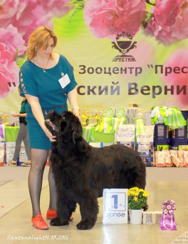 Фотография № 207029