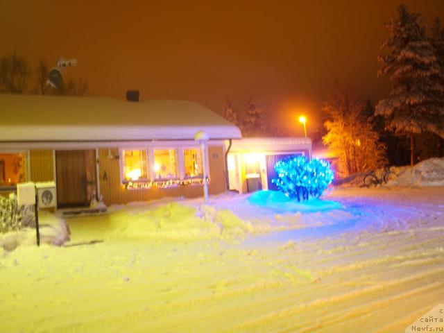 Фотография № 20707