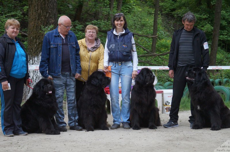 Фотография № 207093