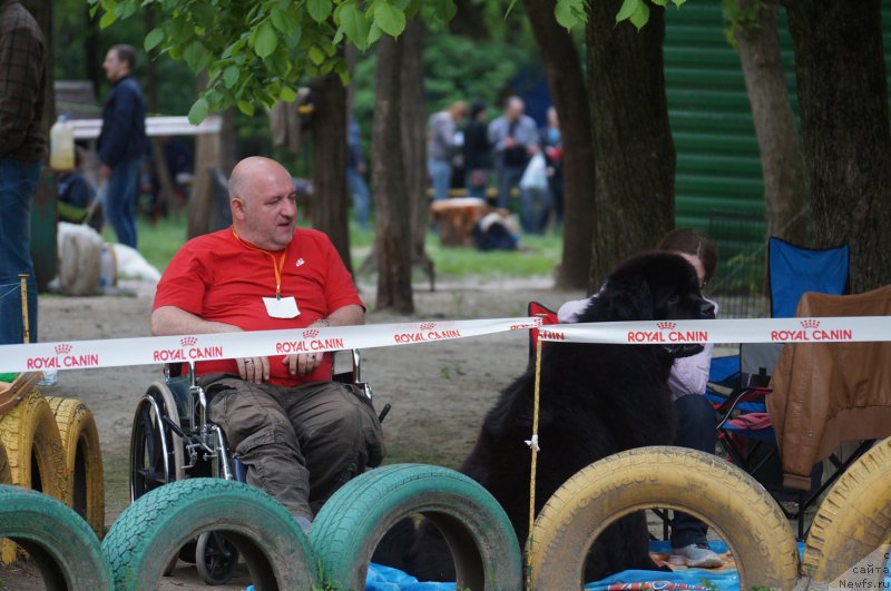 Фотография № 207097