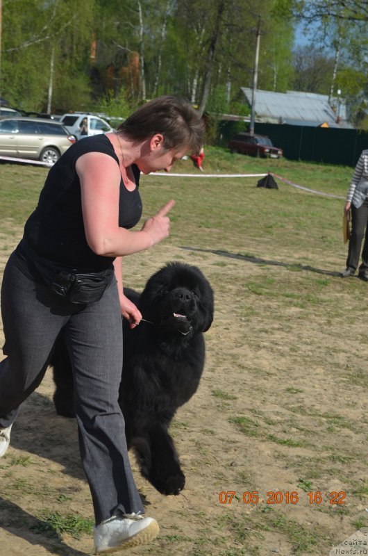 Фотография № 207102