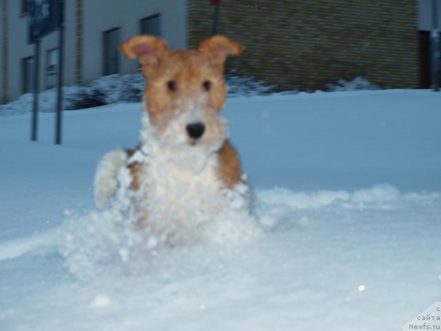 Фотография № 20712