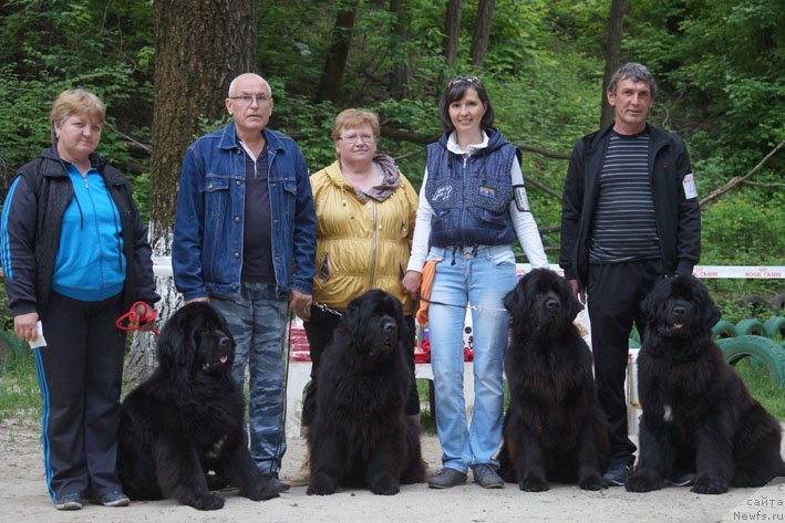 Фотография № 207122