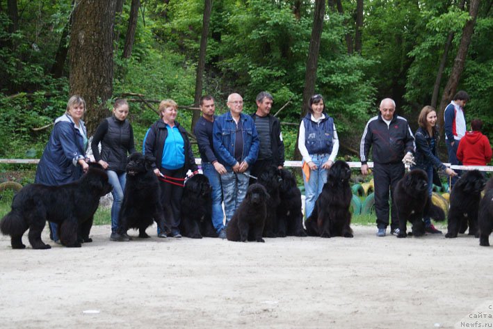 Фотография № 207123