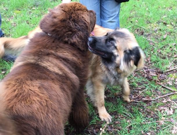 Фотография № 207125