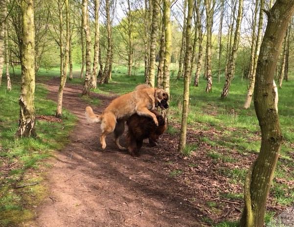 Фотография № 207126