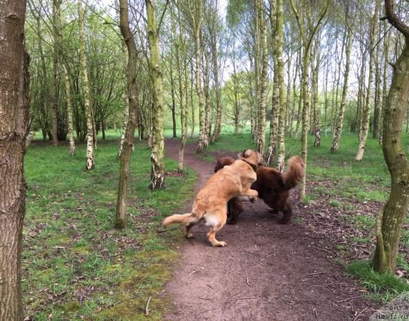 Фотография № 207129