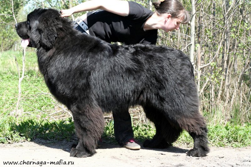 Фотография № 207142