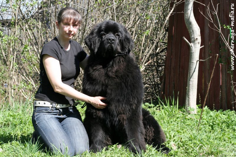 Фотография № 207146