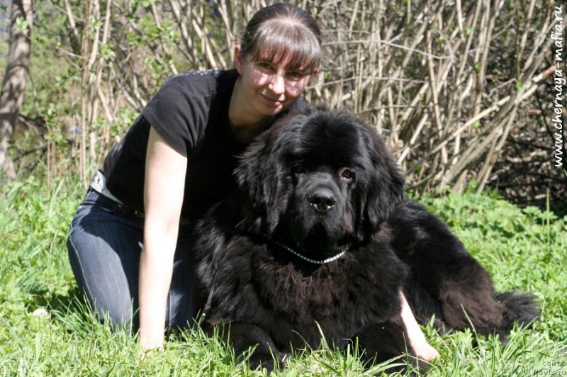 Фотография № 207152