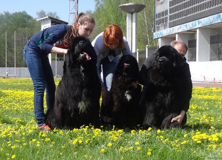 Фотография № 207173