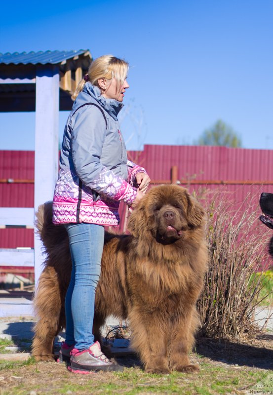 Фотография № 207201