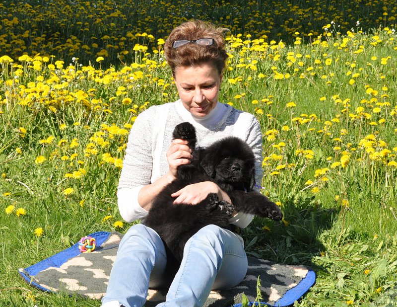 Фотография № 207222