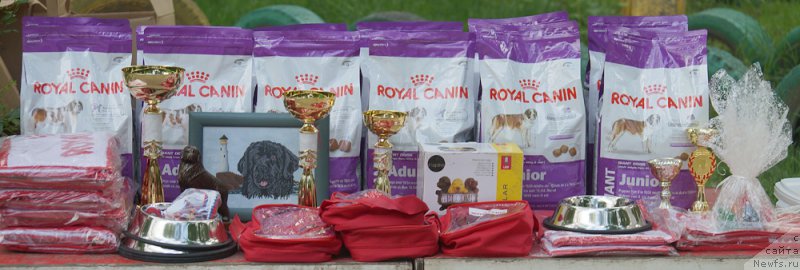 Фотография № 207223