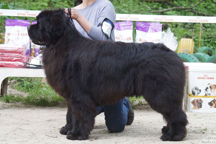 Фотография № 207228