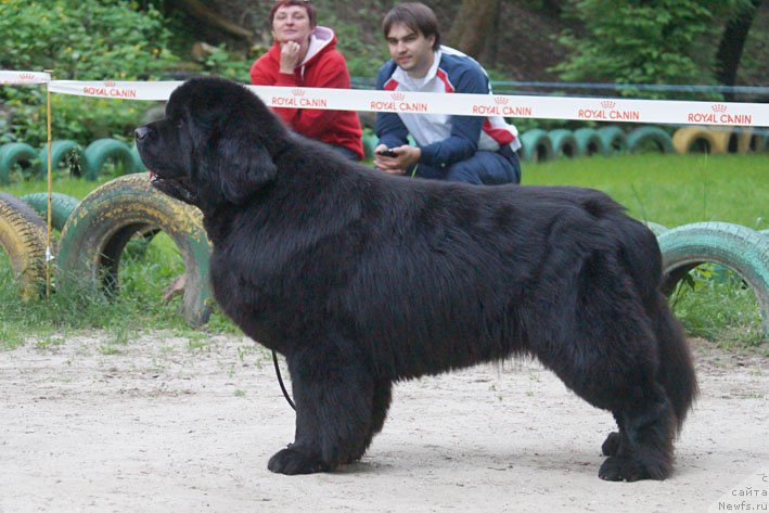 Фотография № 207232