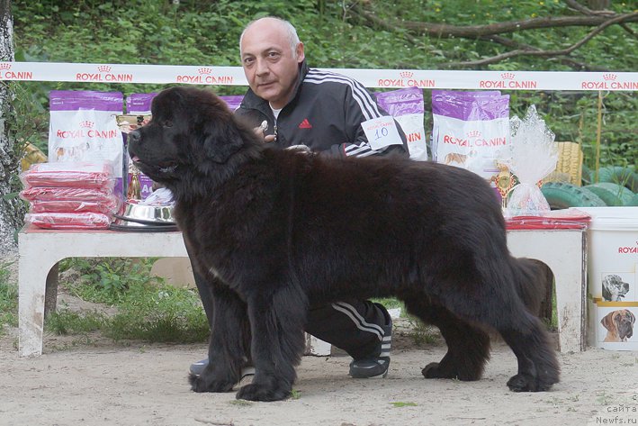 Фотография № 207241