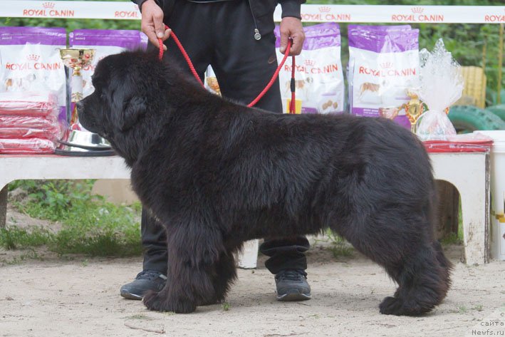 Фотография № 207243