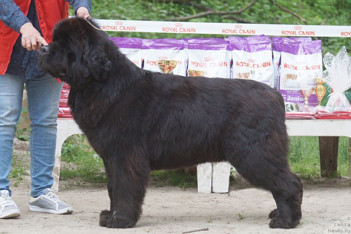 Фотография № 207249