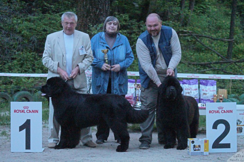 Фотография № 207250