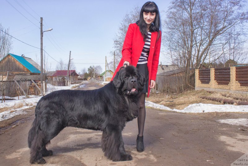 Фотография № 207264