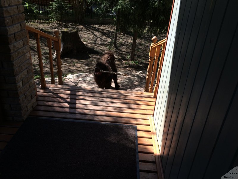 Фотография № 207287