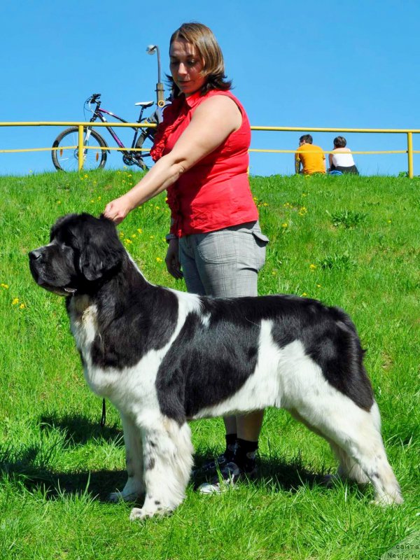 Фотография № 207311