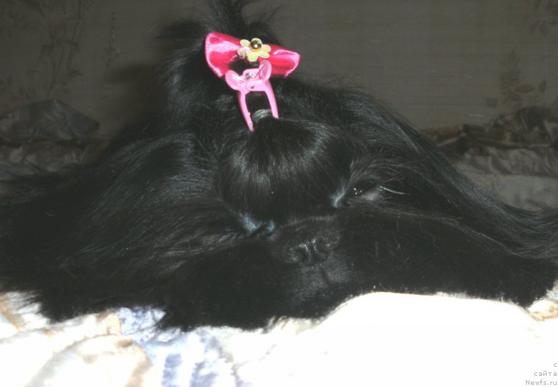 Фотография № 207313