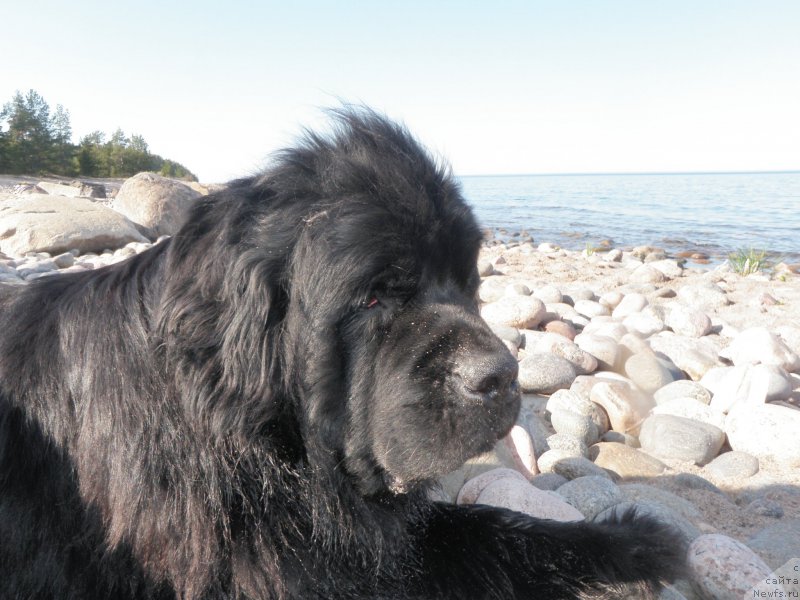 Фотография № 207344