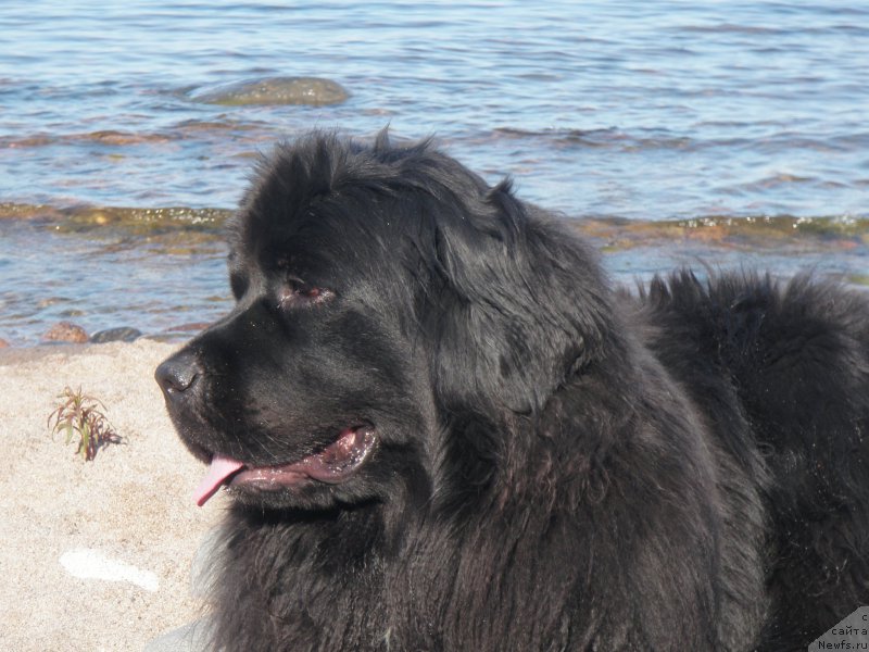 Фотография № 207346