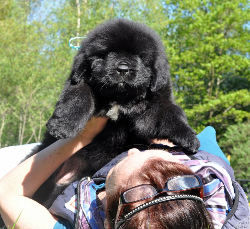 Фото: Бегущая по волнам Год Блесс Квин