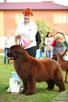 Фотография № 207433