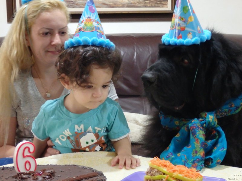 Фотография № 207478