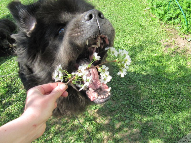 Фотография № 207482