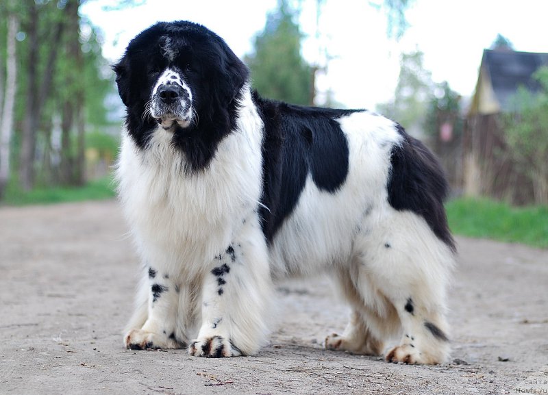 Фотография № 207552