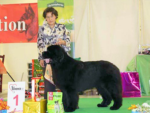 Фотография № 207561