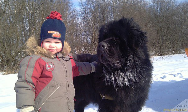 Фотография № 207586