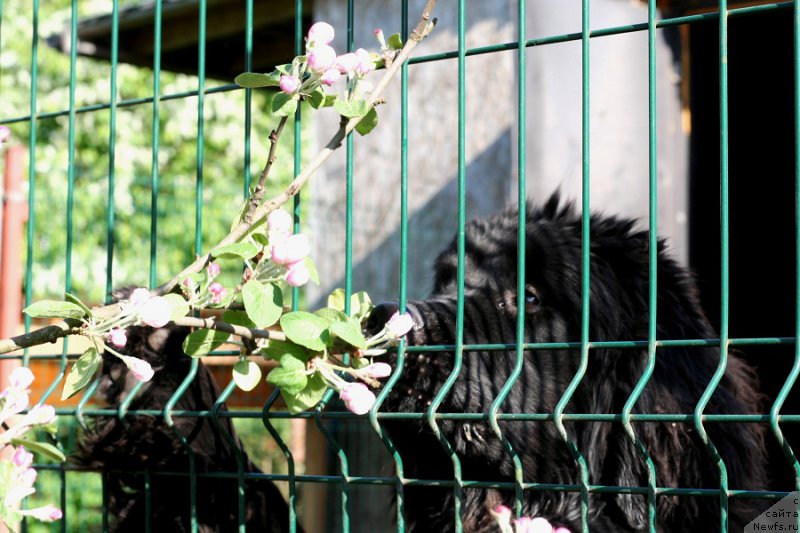 Фотография № 207596