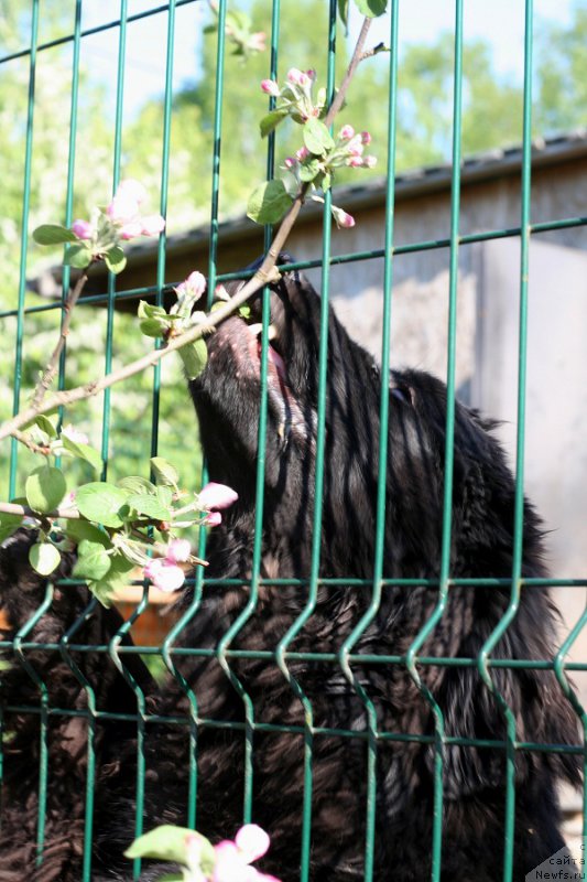 Фотография № 207597