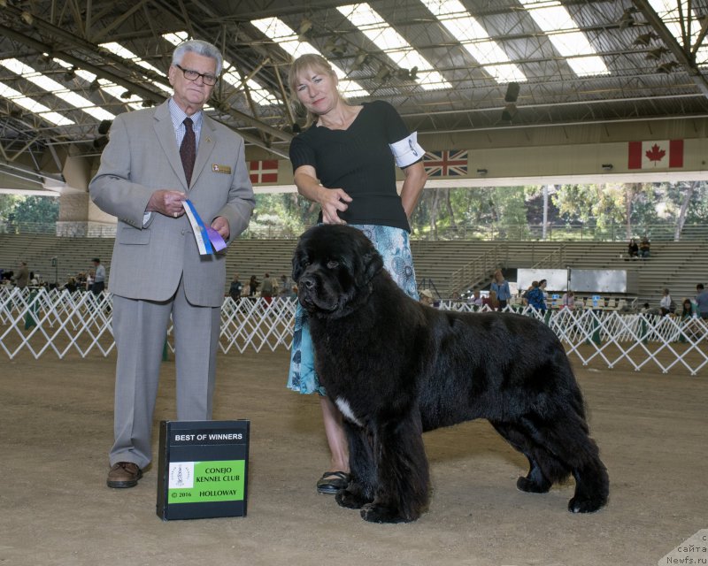 Фотография № 207620