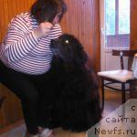 Фотография № 207628