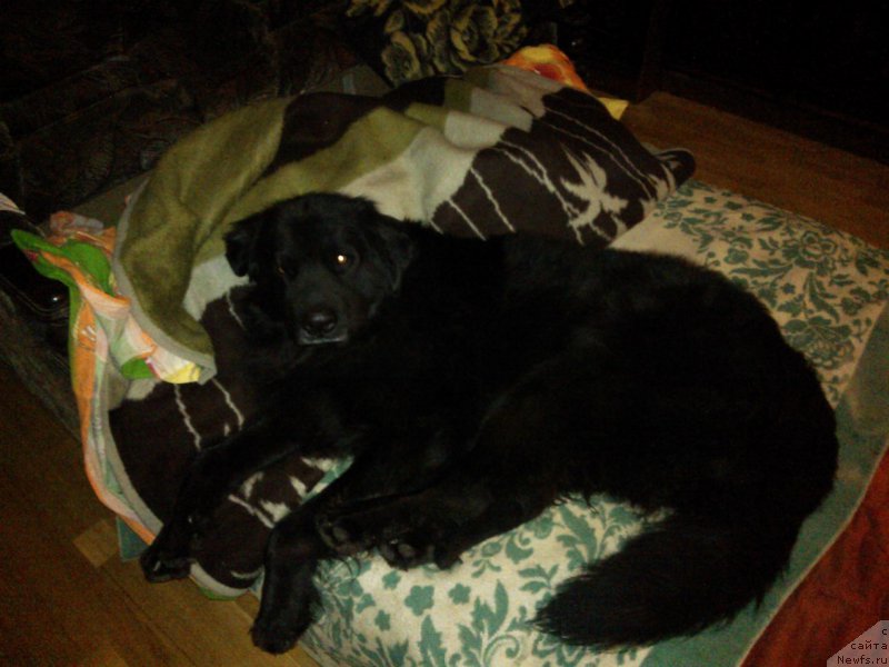 Фотография № 207633