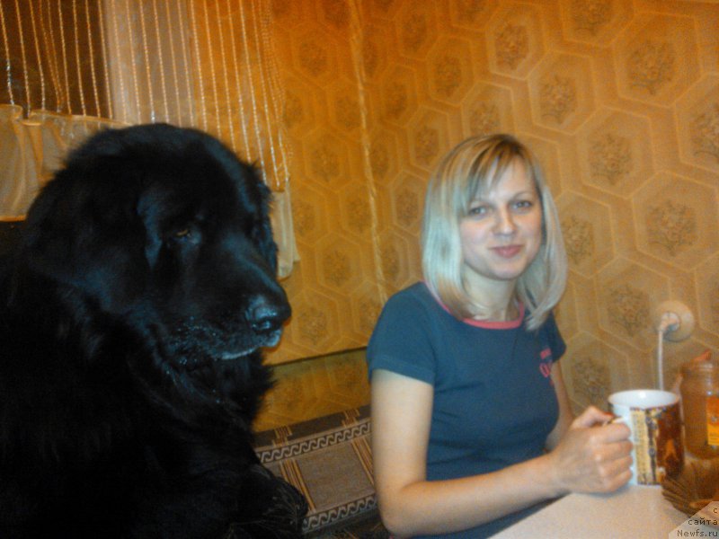 Фотография № 207634