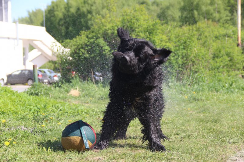 Фотография № 207636