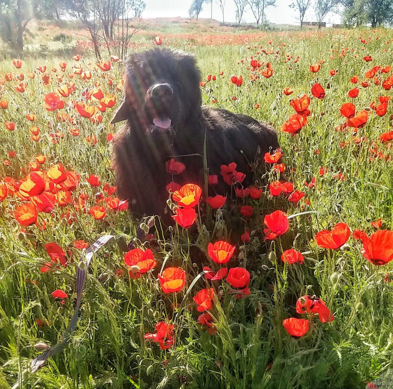 Фотография № 207665