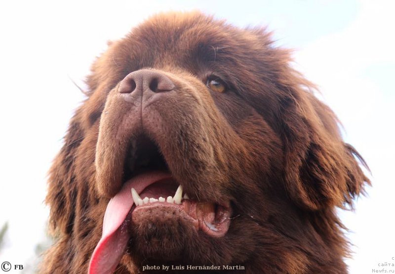 Фотография № 207682